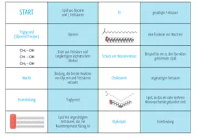 Vorschau - Spiele - Lipide - Domino Spiel (Abitur) - Seite 3