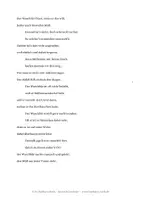 Vorschau - Mal- und Bastelvorlagen - Der Waschbär - Tiergedicht+Labyrinth+Malvorlage+Suchsel - Seite 2