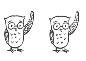 Vista previa - Hojas de trabajo - Brown Owl - STORY STICKS - página 1