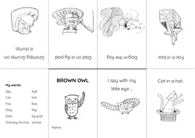 Vista previa - Manualidades / Dibujos para colorear - Brown Owl - make your own MINI BOOKS - página 1