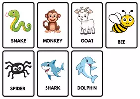 anteprima - Flashcard - FLASHCARDS E MEMORY ANIMALS-ANIMALI IN INGLESE! - Pagina 3