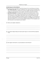 Vorschau - Arbeitsblätter - Hell-Dunkel-Adaptation - Seite 2