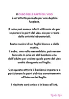 anteprima - Altro tipo di materiale - il cubo delle parti del viso - Pagina 1