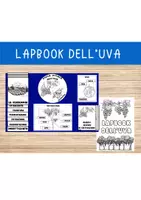 anteprima - Esercizi - 🍇 Lapbook dell’Uva - Pagina di copertina