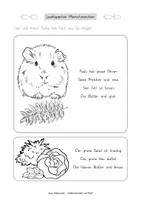 Vorschau - Arbeitsblätter - Lesehäppchen Meerschweinchen (Klassen 1 und 2) - Seite 2