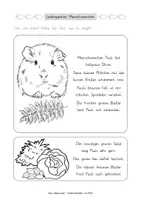 Vorschau - Arbeitsblätter - Lesehäppchen Meerschweinchen (Klassen 1 und 2) - Seite 3