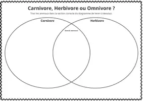 Aperçu - Jeux - Explorez les carnivores, herbivores et omnivores ! - Page 1