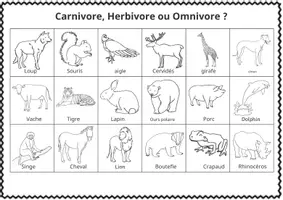 Aperçu - Jeux - Explorez les carnivores, herbivores et omnivores ! - Page de couverture