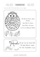 Vorschau - Arbeitsblätter - Lesehäppchen Igel (Klassen 1 und 2) - Seite 2