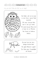 Vorschau - Arbeitsblätter - Lesehäppchen Igel (Klassen 1 und 2) - Seite 3