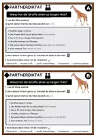 Vorschau - Fördermaterial/Inklusion - Partnerdiktat: Wieso hat die Giraffe einen so langen Hals? - Seite 2