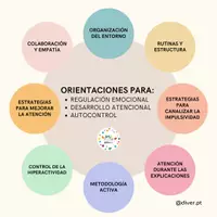 Vista previa - Refuerzo / NEE / Materiales de apoyo - ORIENTACIONES PARA REGULACIÓN EMOCIONAL - Portada
