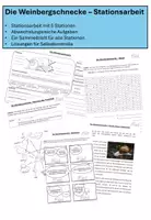 Vorschau - Arbeitsblätter - Die Weinbergschnecke - Stationsarbeit - Deckblatt