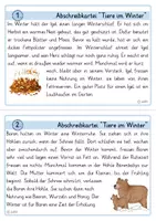 Vorschau - Aufgabenkarten - Abschreibkartei Tiere im Winter Klasse 3./ 4. Lesekartei - Seite 2