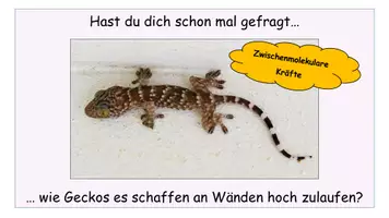 Vorschau - Arbeitsblätter - Zwischenmolekulare Kräfte - Arbeitsblatt Vergleich Wasserstoffbrücken, Dipol-Dipol-Kräfte, London-Dispersions-Wechselwirkungen - Seite 2