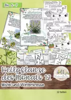 Vorschau - Stundenentwürfe - Pflanzen im Winter: Winterkresse und Mistel: Heimische Heilpflanze - Deckblatt