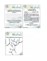 Vorschau - Stundenentwürfe - Pflanzen im Winter: Winterkresse und Mistel: Heimische Heilpflanze - Seite 2