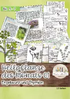 Vorschau - Stundenentwürfe - Thymian und Engelwurz: Heimische Heilpflanzen - Deckblatt