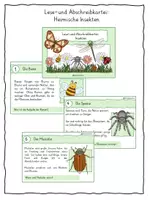 Vorschau - Stationenlernen - Lese und Abschreibkartei: Heimische Insekten - Deckblatt