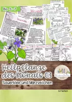 Vorschau - Stundenentwürfe - Pflanzen / Heimische Heilpflanzen: Märzveilchen und Sauerklee - Deckblatt