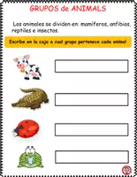Vista previa - Hojas de trabajo - Animales Vertebrados e Invertebrados, Anfibios, Mamiferos - página 1