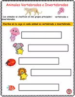 Vista previa - Hojas de trabajo - Animales Vertebrados e Invertebrados, Anfibios, Mamiferos - página 2