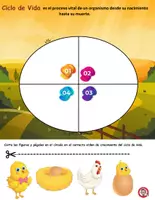 Vista previa - Hojas de trabajo - Animales Vertebrados e Invertebrados, Anfibios, Mamiferos - página 3