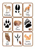 anteprima - Materiale di supporto/inclusione - Le carte delle impronte - Pagina 1