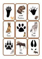anteprima - Materiale di supporto/inclusione - Le carte delle impronte - Pagina 2