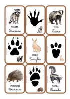 anteprima - Materiale di supporto/inclusione - Le carte delle impronte - Pagina 3