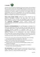 Vorschau - Arbeitsblätter - Sinnkrise: Irrwege vermeiden - Gruppenarbeit zum Thema "Sucht" (Alkohol, Cannabis, Mediensucht, ...) - Seite 3