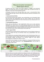 Vorschau - Arbeitsblätter - Was soll ich alles versichern? Risiken lauern überall - Seite 2