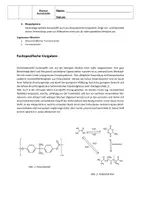Vorschau - Prüfungsvorbereitung - Pauker Chemie - Klausur Q2 mit EWH - Kunststoffe im Fokus - Seite 2