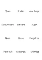 Vorschau - Stationenlernen - Katze – Lernspiele für Freiarbeit und Lerntheke | Klasse 2–3 - Seite 2