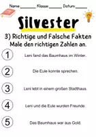Vorschau - Arbeitsblätter - Silvester Leseverstehen und Wortschatz - DaZ/DaF, Deutsch, Sachunterricht - Seite 3