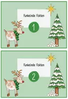 Vorschau - Aufgabenkarten - Funkelnde Fakten - Vorlese- / Wissensadventskalender - Seite 3