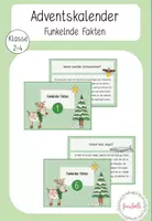Vorschau - Aufgabenkarten - Funkelnde Fakten - Vorlese- / Wissensadventskalender - Seite 1