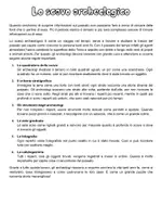 anteprima - Materiale di supporto/inclusione - Lo scavo archeologico - Pagina 1