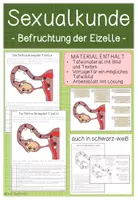 Vorschau - Arbeitsblätter - SEXUALKUNDE - Befruchtung der Eizelle - Deckblatt