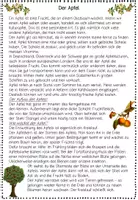 Vorschau - Arbeitsblätter - Apfel Leseweg, Sachtext, Leseförderung Sachunterricht, Leseverständnis, Lesetraining, Lesekompetenz Herbst - Seite 2