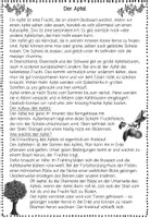 Vorschau - Arbeitsblätter - Apfel Leseweg, Sachtext, Leseförderung Sachunterricht, Leseverständnis, Lesetraining, Lesekompetenz Herbst - Seite 3