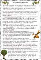 Vorschau - Arbeitsblätter - Apfel Hörweg Sachunterricht, Äpfel Sachtext, Hörverstehen, Hörverständnis Herbst - Seite 2