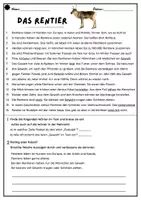 Vorschau - Fördermaterial/Inklusion - Differenzierter Lesetext zum Rentier - Seite 1