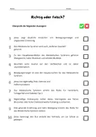 Vorschau - Arbeitsblätter - Metabolisches Syndrom - Fallbeispiel mit Fragen - Seite 3