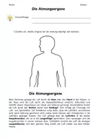 Vorschau - Arbeitsblätter - Atmungsorgane Wo geht die Luft rein? - Seite 2