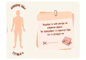 Προεπισκόπηση - Flashcards - Ανθρώπινο Σώμα - Συστήματα Οργάνων - Σελίδα 2