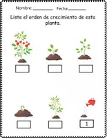 Vista previa - Hojas de trabajo - Ciencias Naturales Partes de las plantas - página 2