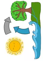 Vorschau - Arbeitsblätter - Wasserkreislauf - Tafelmaterial und Arbeitsblatt - Seite 3