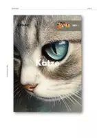 Vorschau - Arbeitsblätter - Haustiere: Die Katze - Lernheft - Seite 1