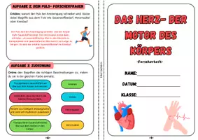 Vorschau - Arbeitsblätter - Das Herz- Forscherheft (8. Seiten) inkl. Informationstext | Unterrichtsreihe "Der Mensch", Biologie, 6./7. Klasse - Seite 1